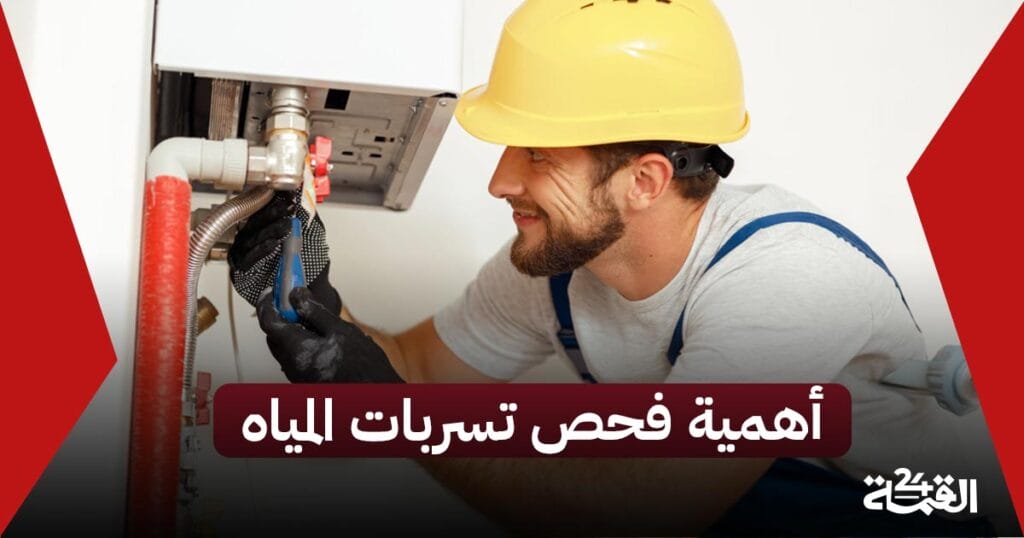 أهمية فحص تسربات المياه